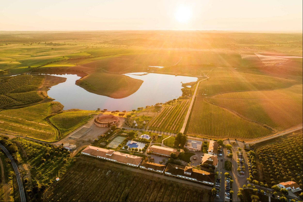 Hotel Vila Galé Alentejo Vineyards - Luftbild