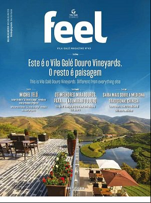 Douro Vineyards